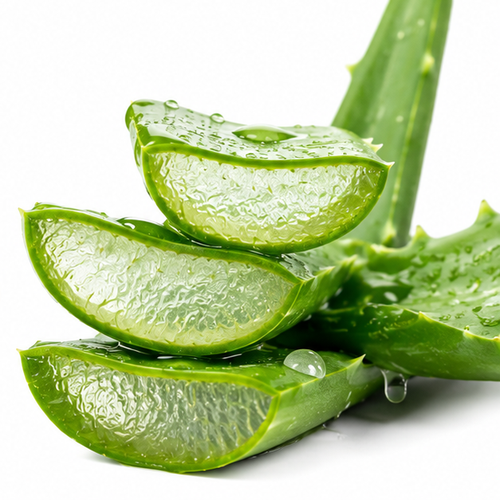Aloe Barbadensis Leaf Extract