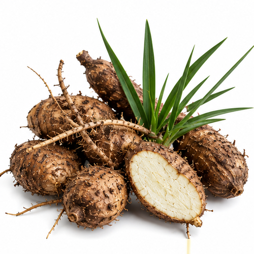 Cyperus Rotundus Root Extract